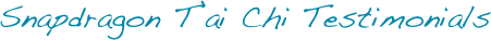 Snapdragon T’ai Chi Testimonials